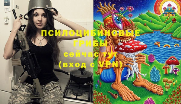 синтетический гашиш Зерноград