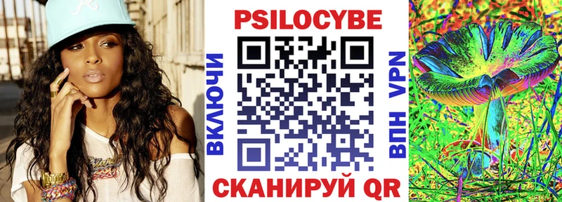 Псилоцибиновые грибы Psilocybe  Купить закладки  Вышний Волочёк 
